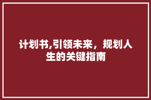 计划书,引领未来，规划人生的关键指南