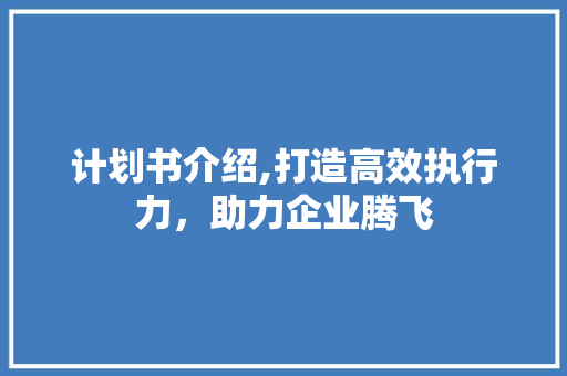 计划书介绍,打造高效执行力，助力企业腾飞