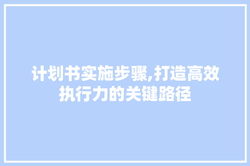 计划书实施步骤,打造高效执行力的关键路径