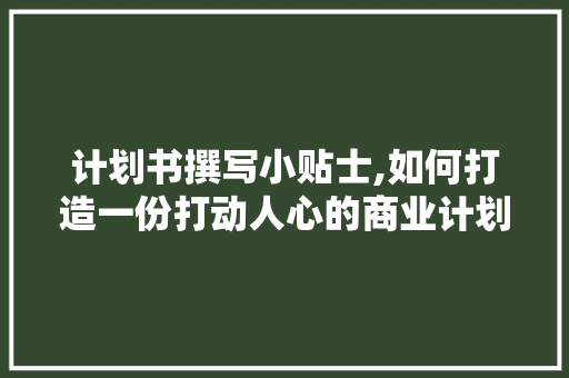 计划书撰写小贴士,如何打造一份打动人心的商业计划书