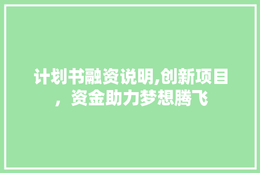 计划书融资说明,创新项目，资金助力梦想腾飞