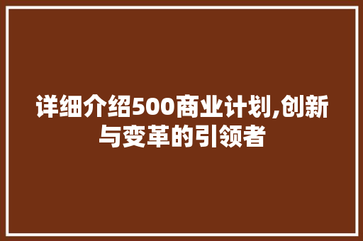 详细介绍500商业计划,创新与变革的引领者