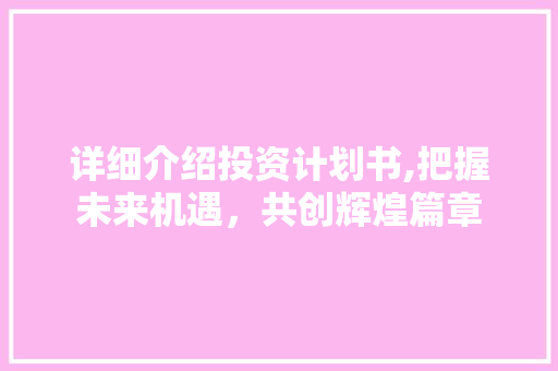 详细介绍投资计划书,把握未来机遇，共创辉煌篇章