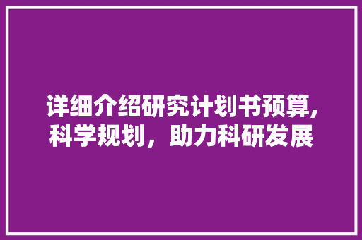 详细介绍研究计划书预算,科学规划，助力科研发展