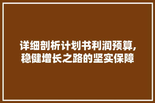 详细剖析计划书利润预算,稳健增长之路的坚实保障