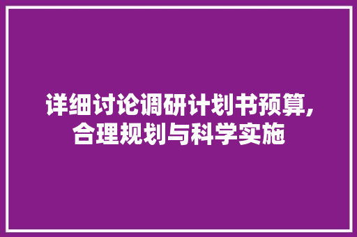 详细讨论调研计划书预算,合理规划与科学实施