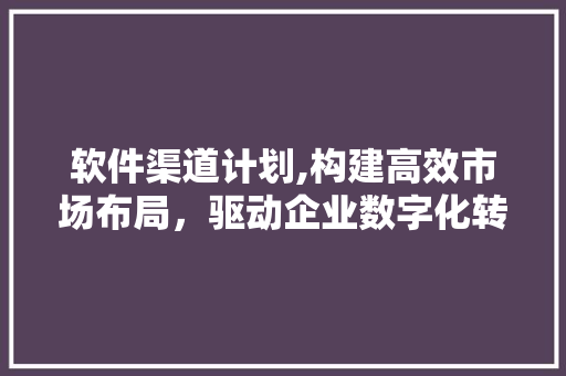 软件渠道计划,构建高效市场布局，驱动企业数字化转型