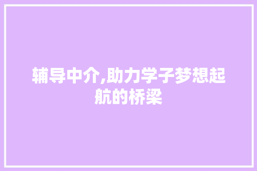 辅导中介,助力学子梦想起航的桥梁