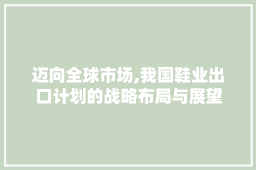 迈向全球市场,我国鞋业出口计划的战略布局与展望