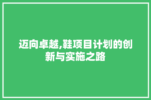 迈向卓越,鞋项目计划的创新与实施之路