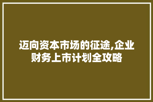 迈向资本市场的征途,企业财务上市计划全攻略