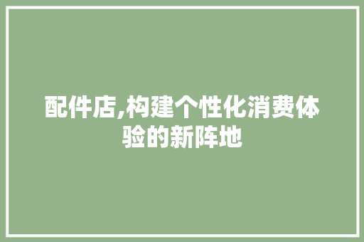 配件店,构建个性化消费体验的新阵地