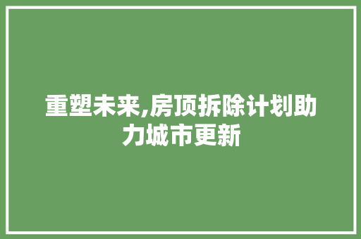 重塑未来,房顶拆除计划助力城市更新