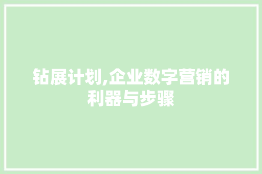 钻展计划,企业数字营销的利器与步骤