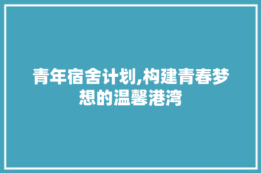 青年宿舍计划,构建青春梦想的温馨港湾