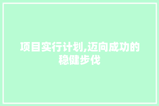 项目实行计划,迈向成功的稳健步伐