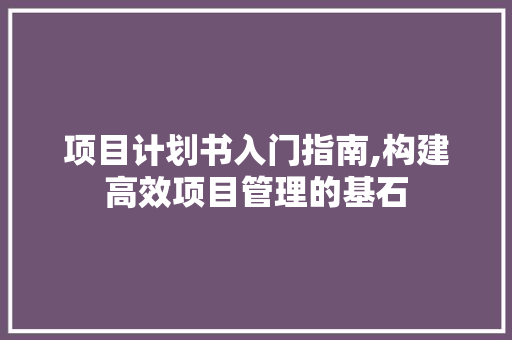 项目计划书入门指南,构建高效项目管理的基石