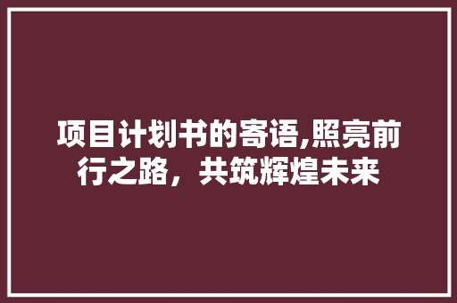 项目计划书的寄语,照亮前行之路，共筑辉煌未来