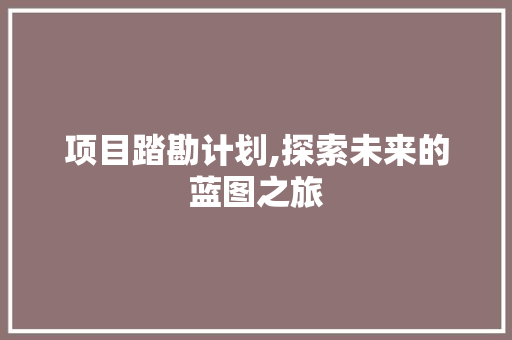 项目踏勘计划,探索未来的蓝图之旅