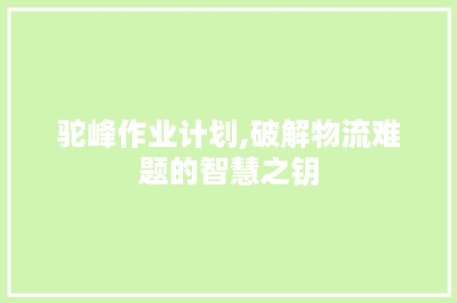 驼峰作业计划,破解物流难题的智慧之钥