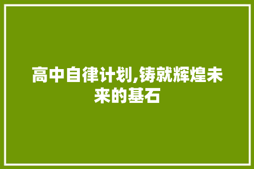 高中自律计划,铸就辉煌未来的基石