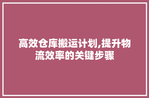 高效仓库搬运计划,提升物流效率的关键步骤