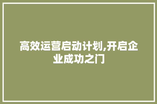 高效运营启动计划,开启企业成功之门