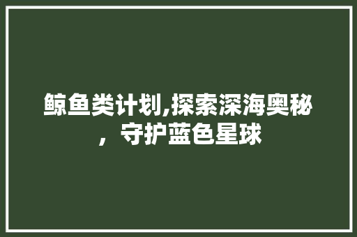 鲸鱼类计划,探索深海奥秘，守护蓝色星球