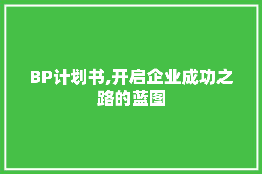 BP计划书,开启企业成功之路的蓝图