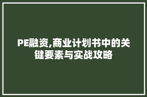 PE融资,商业计划书中的关键要素与实战攻略