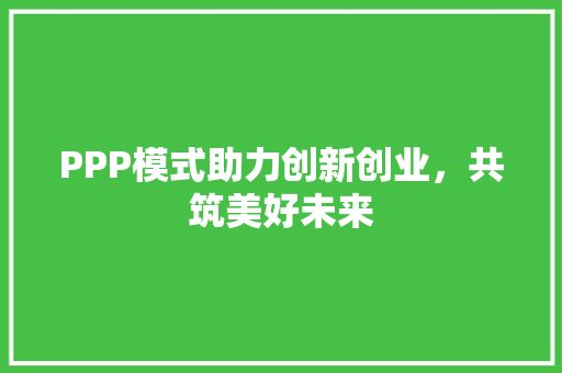 PPP模式助力创新创业，共筑美好未来