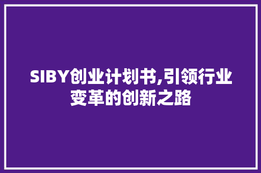 SIBY创业计划书,引领行业变革的创新之路