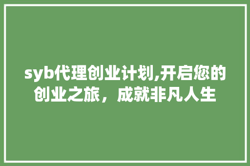 syb代理创业计划,开启您的创业之旅，成就非凡人生