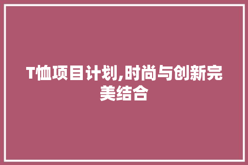 T恤项目计划,时尚与创新完美结合