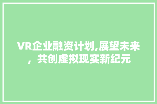 VR企业融资计划,展望未来，共创虚拟现实新纪元