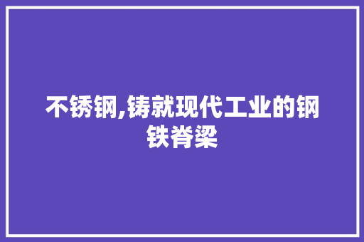 不锈钢,铸就现代工业的钢铁脊梁