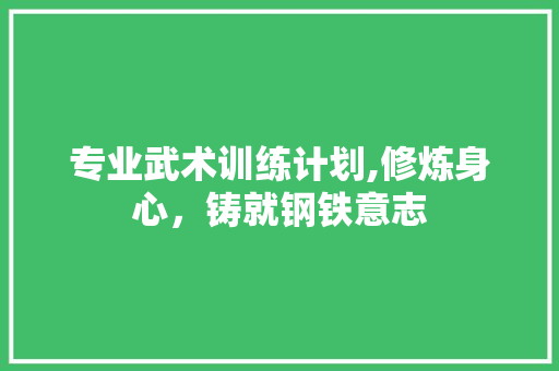 专业武术训练计划,修炼身心，铸就钢铁意志