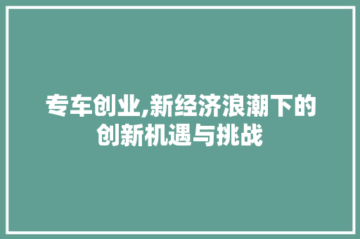 专车创业,新经济浪潮下的创新机遇与挑战