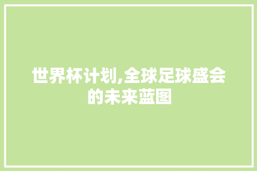 世界杯计划,全球足球盛会的未来蓝图