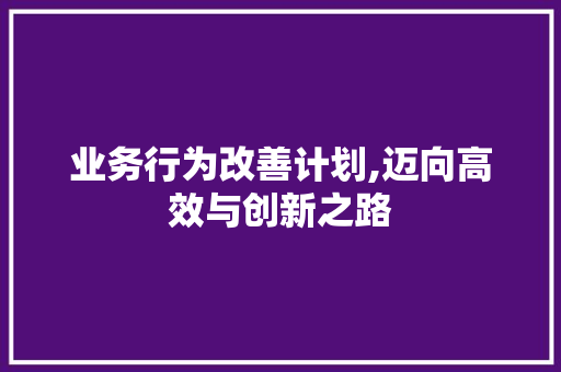 业务行为改善计划,迈向高效与创新之路 论文范文