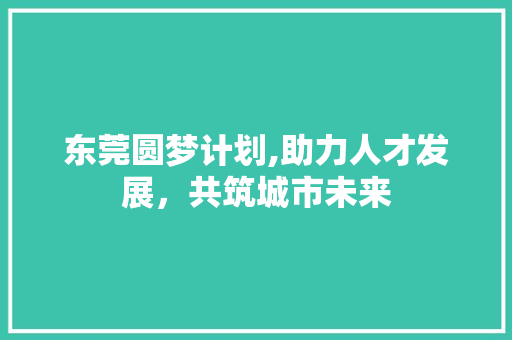 东莞圆梦计划,助力人才发展，共筑城市未来