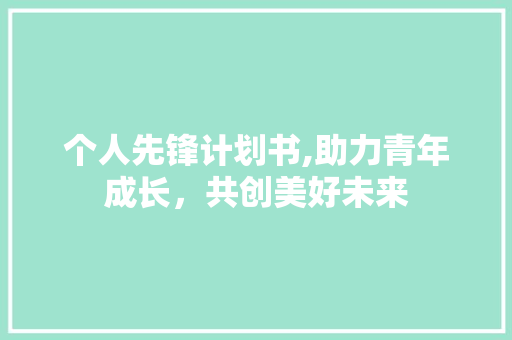 个人先锋计划书,助力青年成长，共创美好未来