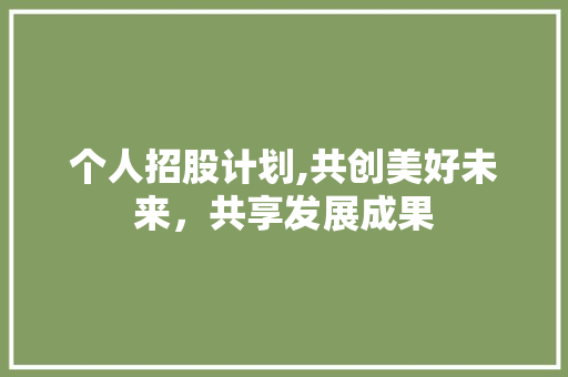 个人招股计划,共创美好未来，共享发展成果