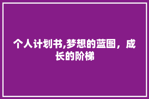 个人计划书,梦想的蓝图，成长的阶梯