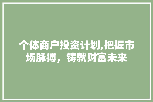 个体商户投资计划,把握市场脉搏，铸就财富未来