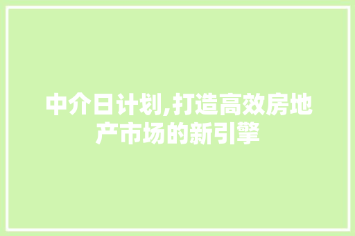 中介日计划,打造高效房地产市场的新引擎