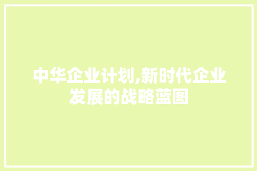 中华企业计划,新时代企业发展的战略蓝图