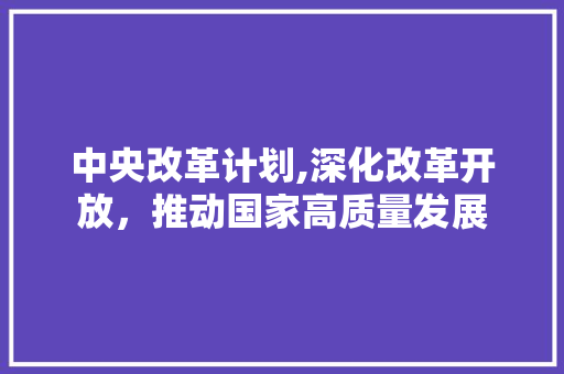 中央改革计划,深化改革开放，推动国家高质量发展