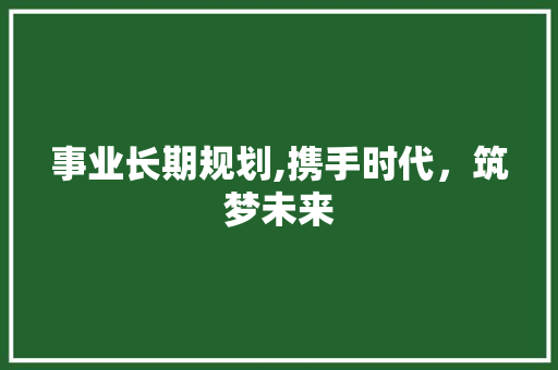 事业长期规划,携手时代，筑梦未来