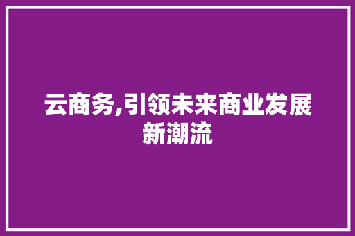 云商务,引领未来商业发展新潮流